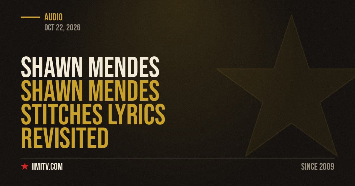 Shawn Mendes Stitches Lyrics Revisited